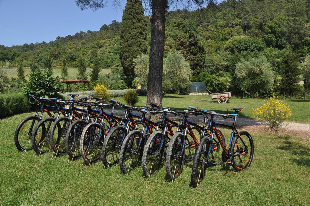 Agriturismo Eco-Bio Belmonte Vacanze 몬타이오네 외부 사진