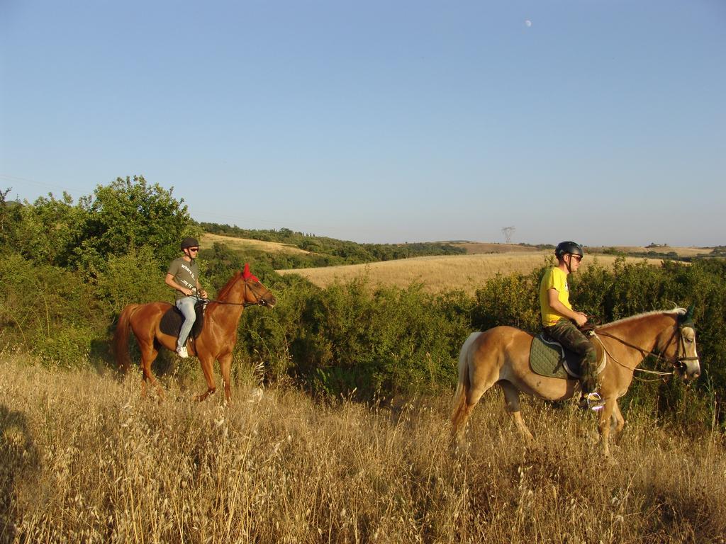 Agriturismo Eco-Bio Belmonte Vacanze 몬타이오네 외부 사진