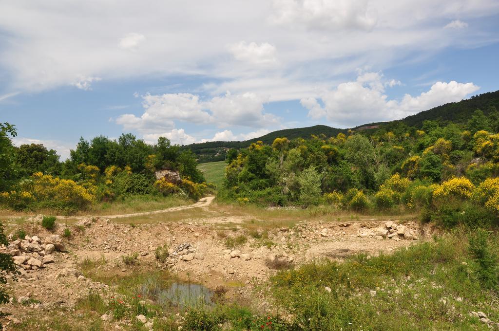 Agriturismo Eco-Bio Belmonte Vacanze 몬타이오네 외부 사진