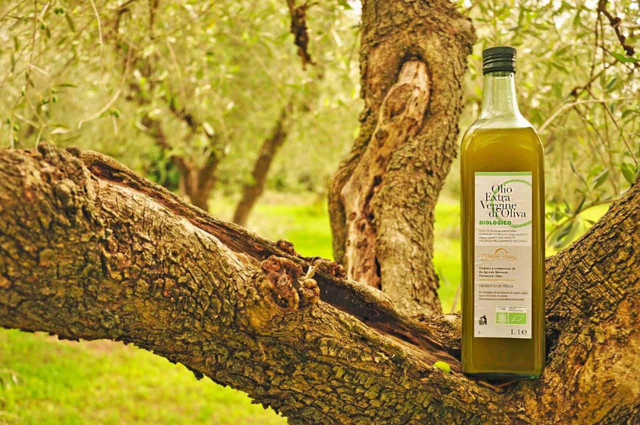 Agriturismo Eco-Bio Belmonte Vacanze 몬타이오네 외부 사진