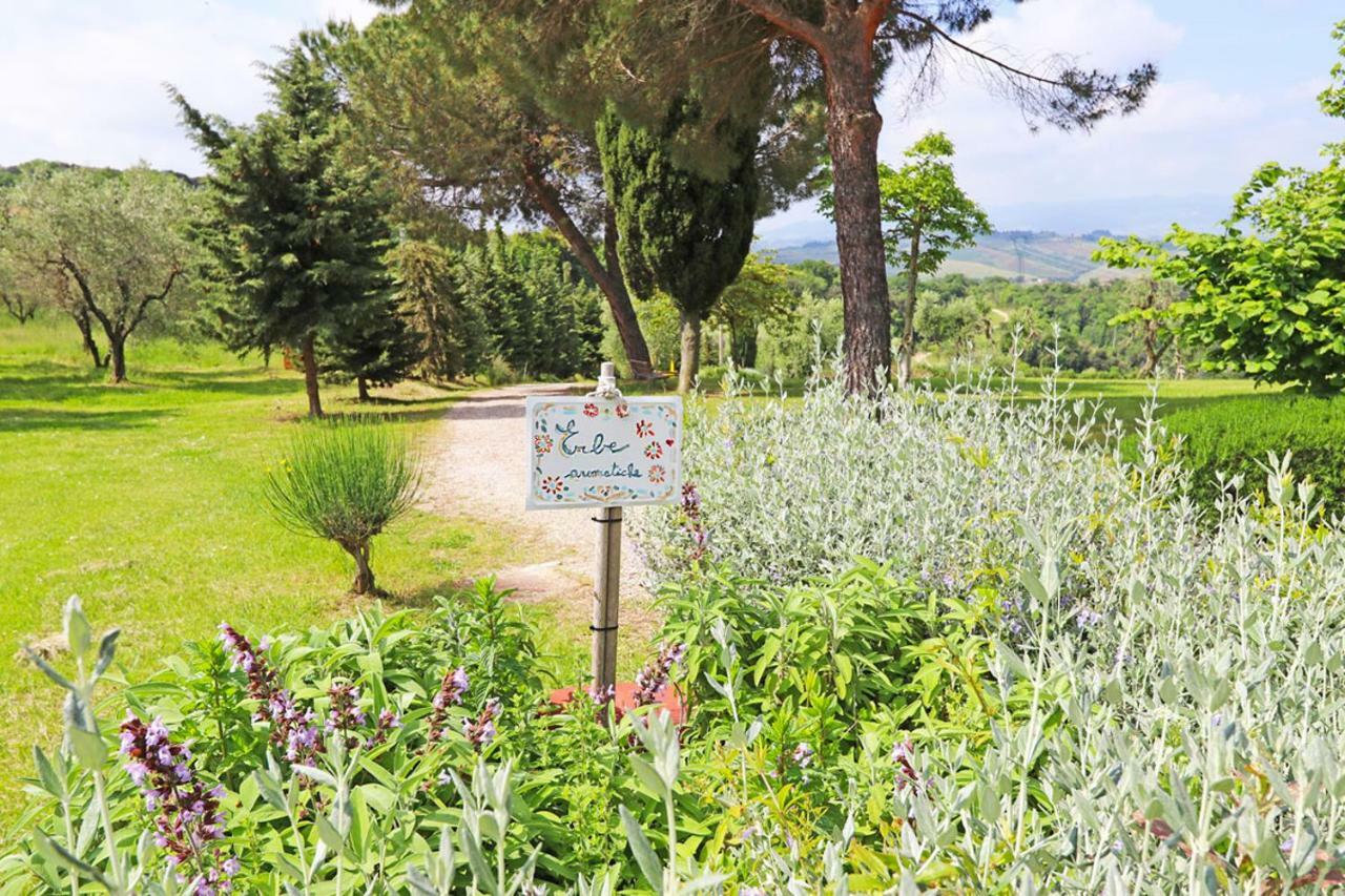 Agriturismo Eco-Bio Belmonte Vacanze 몬타이오네 외부 사진