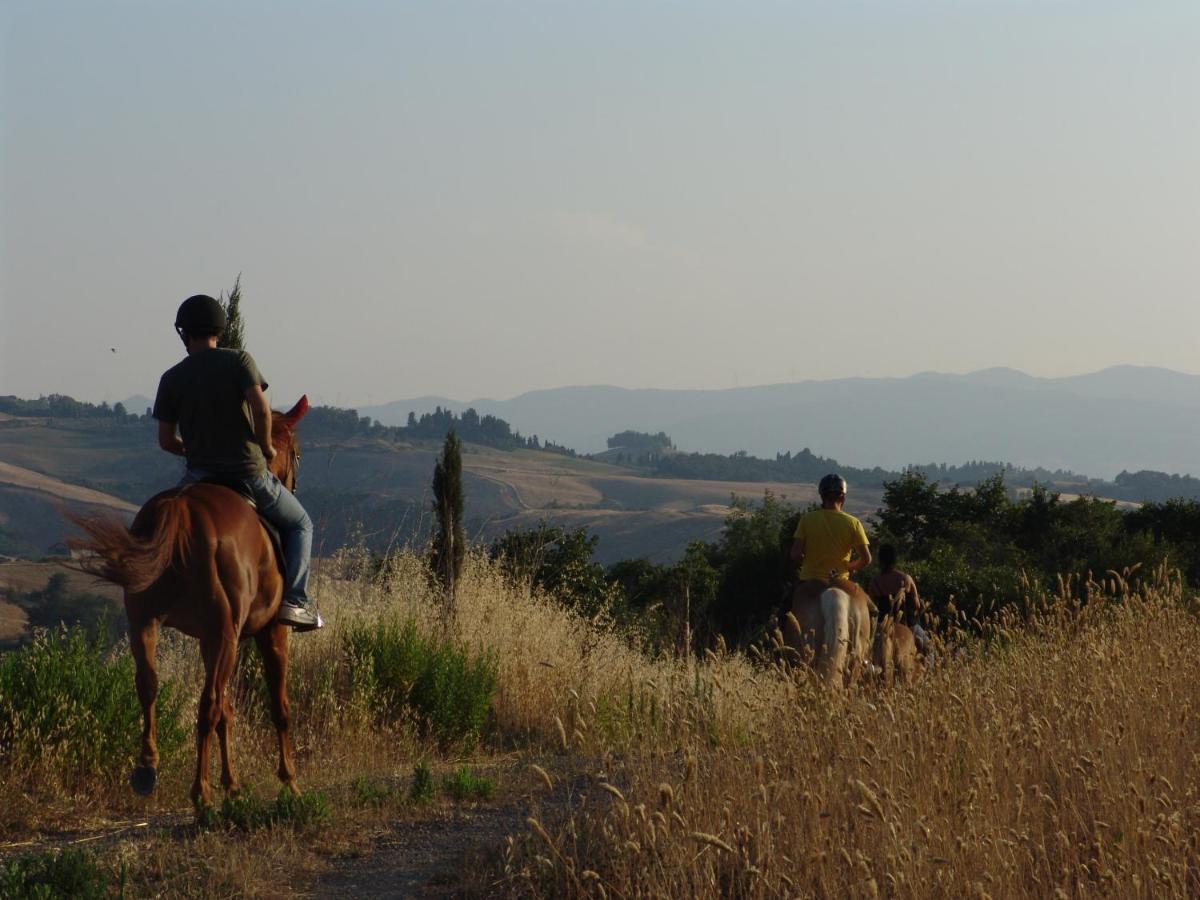 Agriturismo Eco-Bio Belmonte Vacanze 몬타이오네 외부 사진